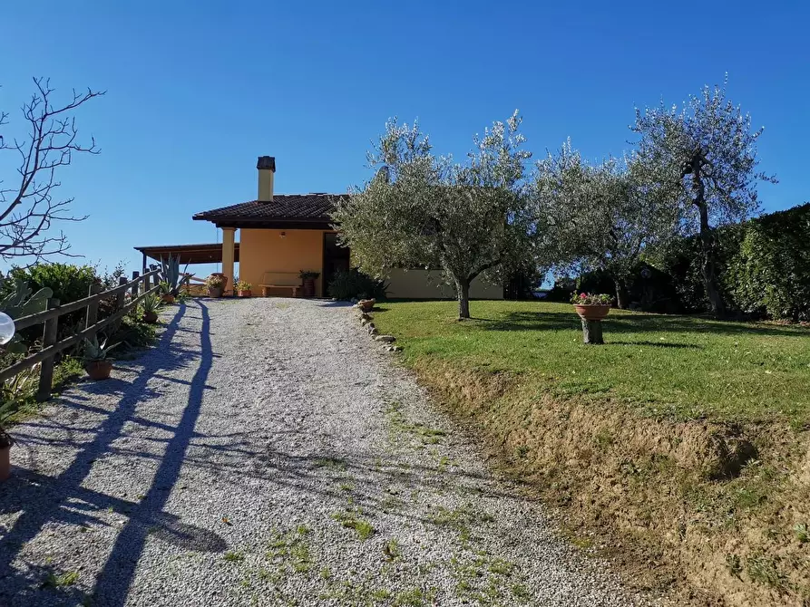 Immagine 4 di Casa indipendente in vendita  a Palaia