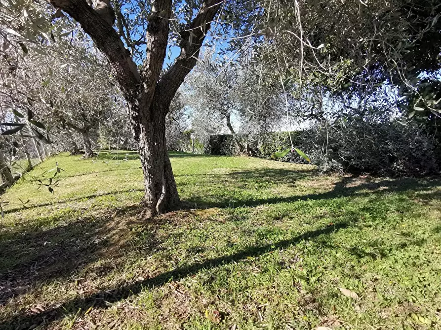 Immagine 60 di Casa indipendente in vendita  a Palaia