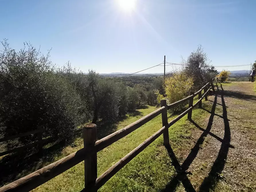 Immagine 47 di Casa indipendente in vendita  a Palaia