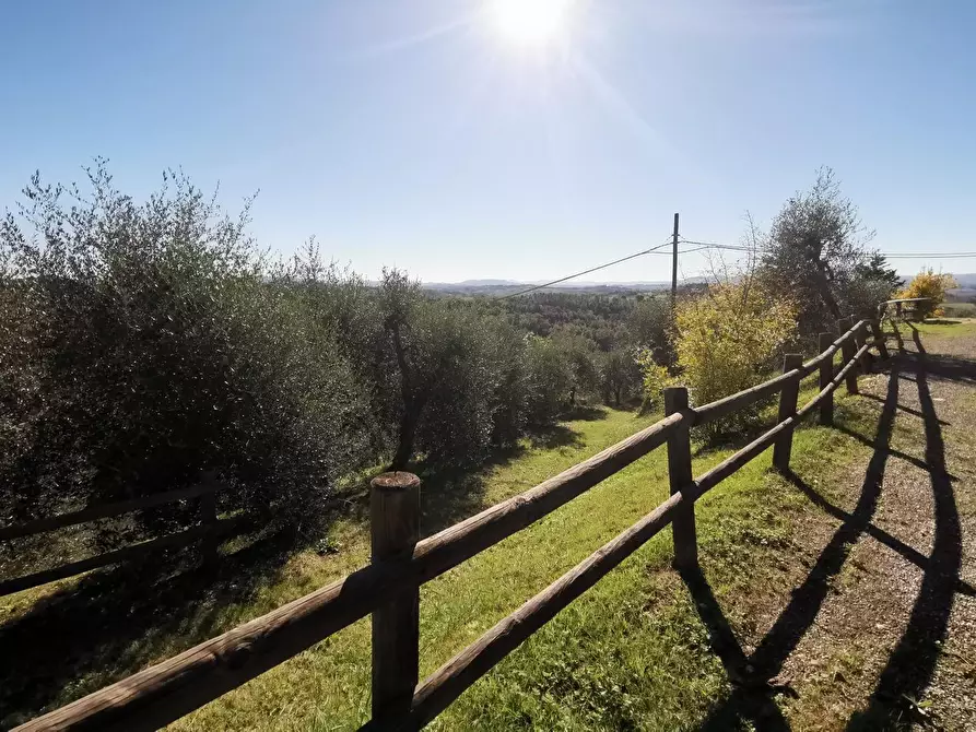 Immagine 51 di Casa indipendente in vendita  a Palaia