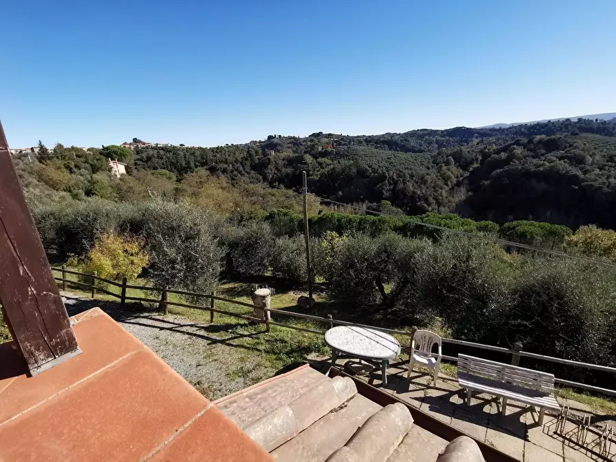 Immagine 63 di Casa indipendente in vendita  a Palaia
