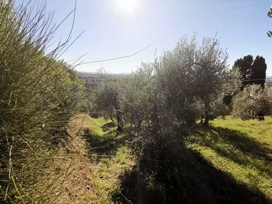 Immagine 57 di Casa indipendente in vendita  a Palaia