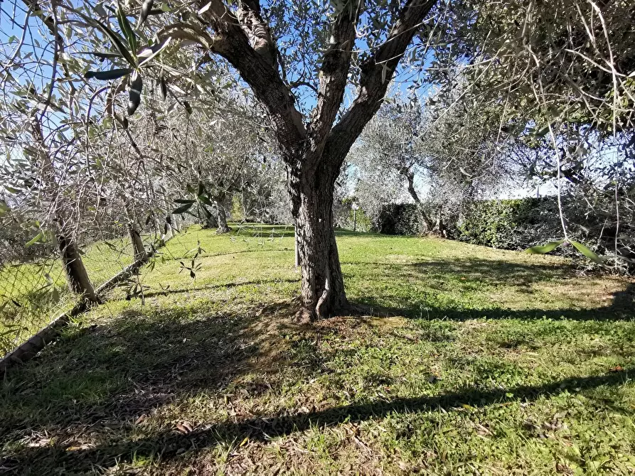 Immagine 65 di Casa indipendente in vendita  a Palaia