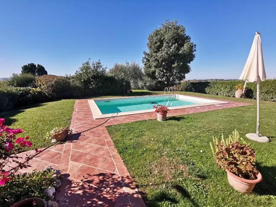 Immagine 3 di Casa indipendente in vendita  a Palaia