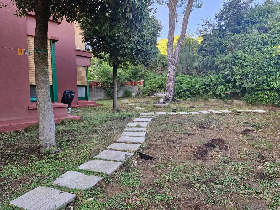 Immagine 6 di Appartamento in vendita  a Piombino