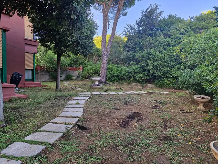Immagine 5 di Appartamento in vendita  a Piombino