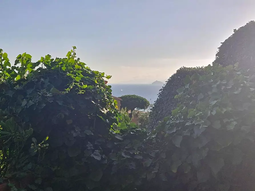 Immagine 4 di Appartamento in vendita  a Piombino