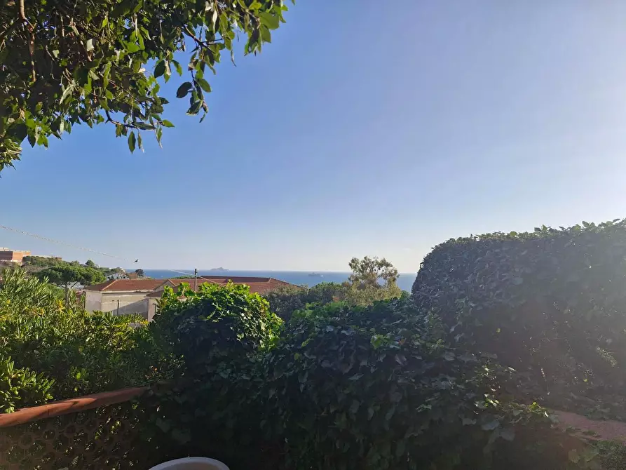 Immagine 7 di Appartamento in vendita  a Piombino