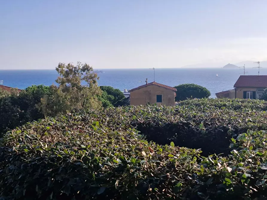 Immagine 3 di Appartamento in vendita  a Piombino