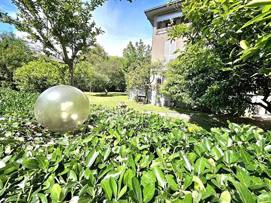 Immagine 8 di Appartamento in vendita  a Massa