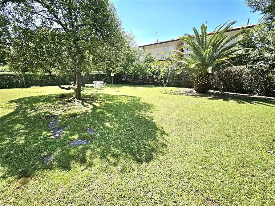 Immagine 5 di Appartamento in vendita  a Massa