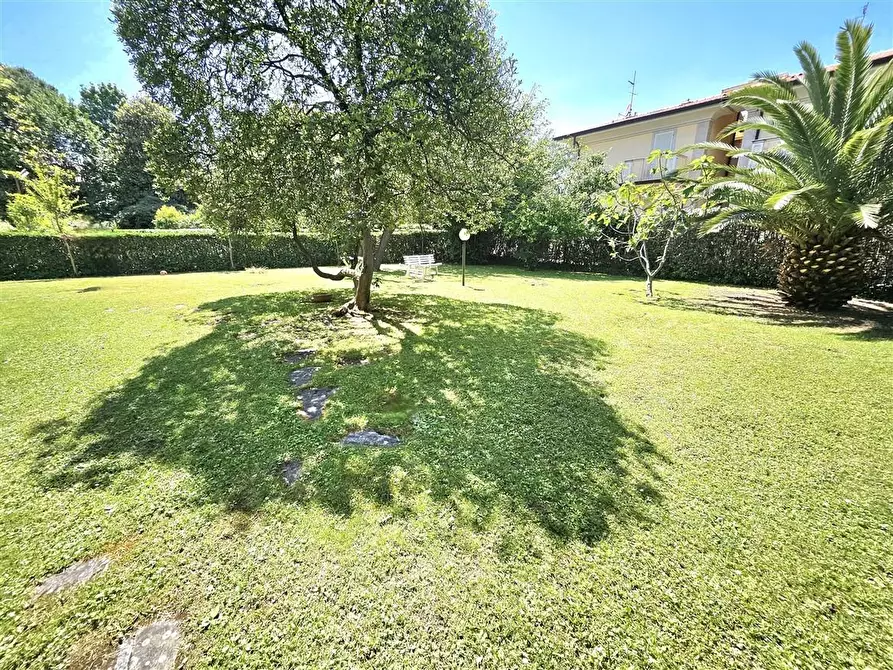 Immagine 2 di Appartamento in vendita  a Massa