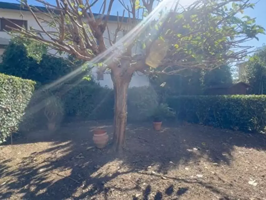 Immagine 19 di Villa in vendita  a Pontedera