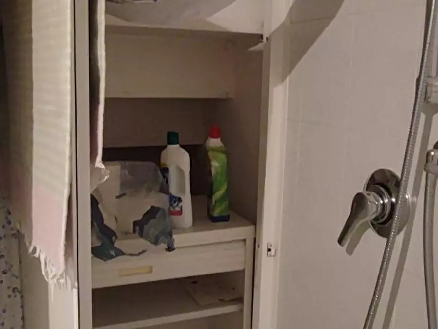 Immagine 4 di Appartamento in vendita  a Camaiore