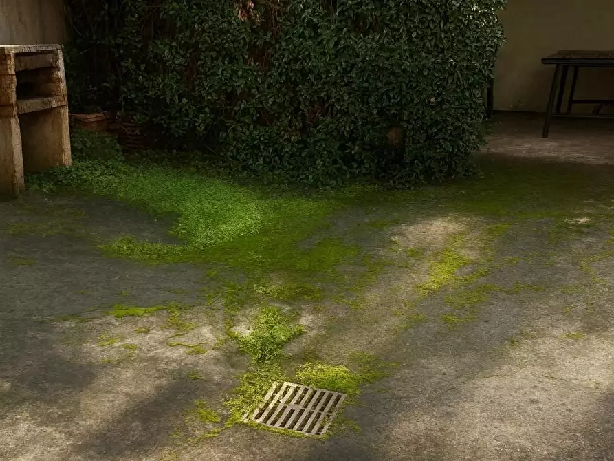 Immagine 11 di Appartamento in vendita  a Camaiore