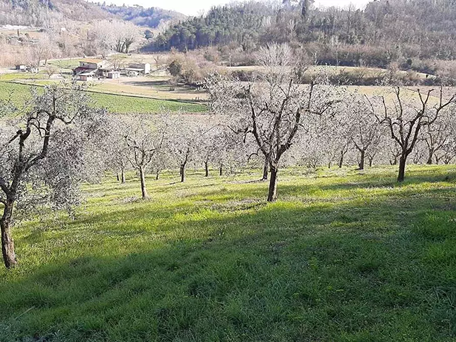 Immagine 17 di Casa indipendente in vendita  a San Miniato