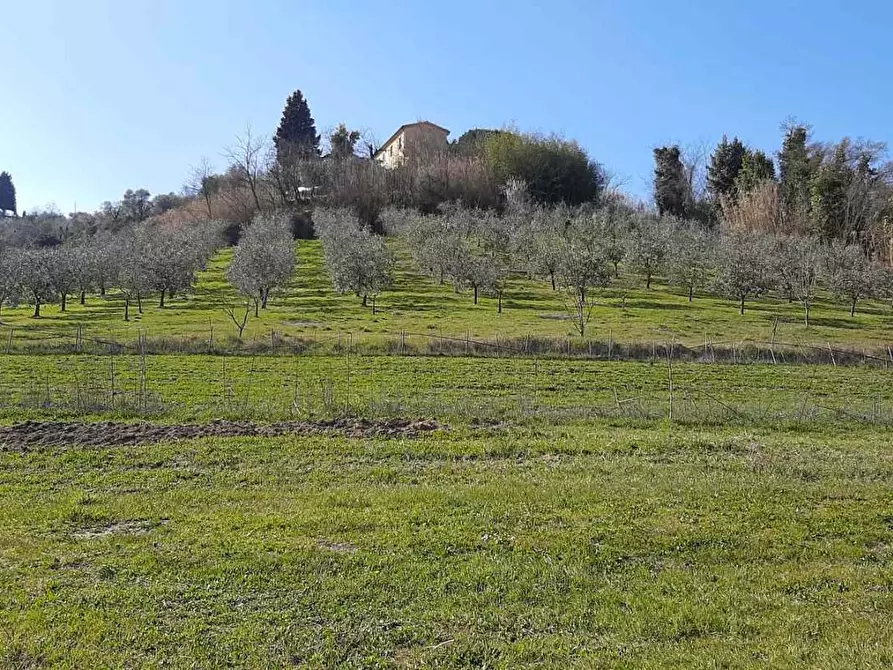Immagine 15 di Casa indipendente in vendita  a San Miniato