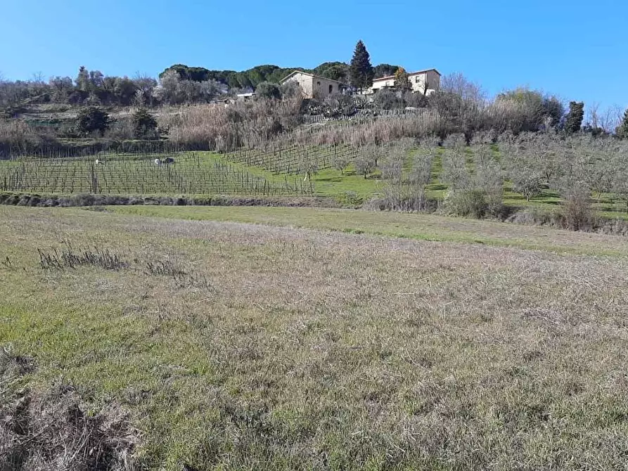 Immagine 14 di Casa indipendente in vendita  a San Miniato