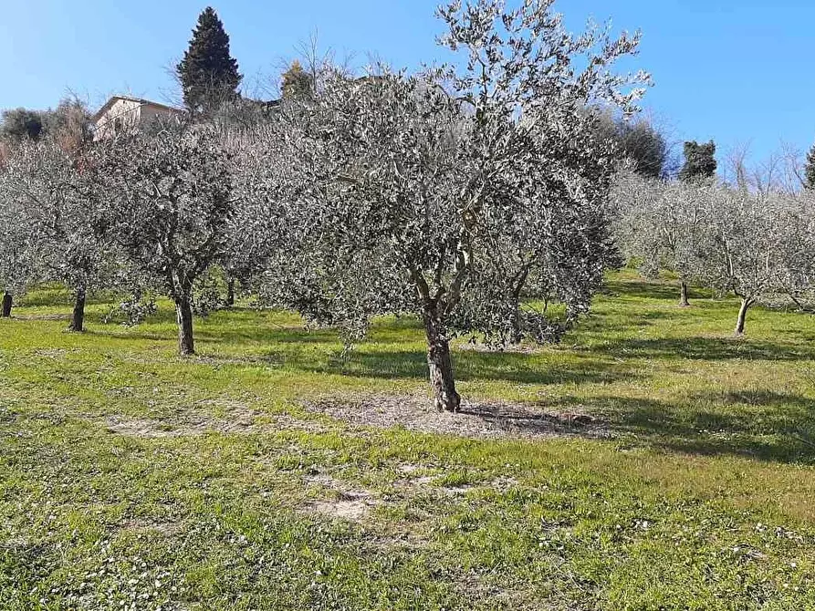 Immagine 16 di Casa indipendente in vendita  a San Miniato