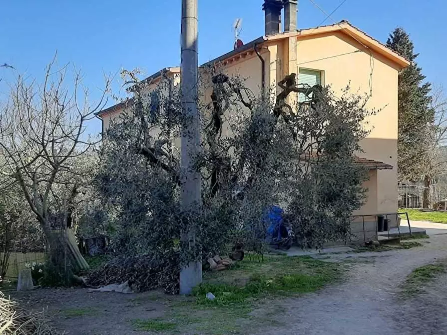 Immagine 1 di Casa indipendente in vendita  a San Miniato