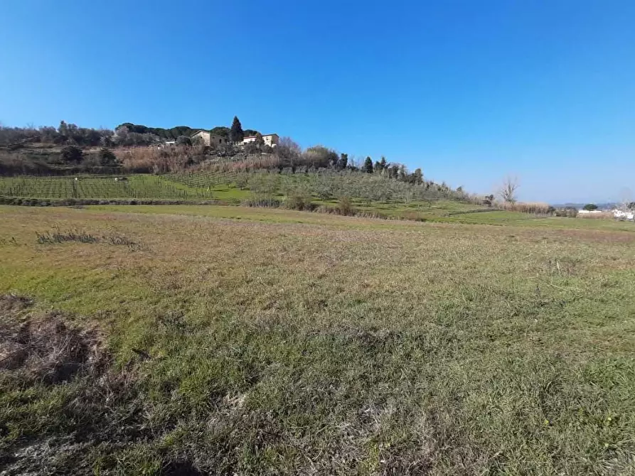 Immagine 13 di Casa indipendente in vendita  a San Miniato