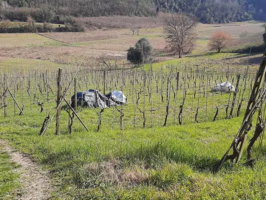Immagine 19 di Casa indipendente in vendita  a San Miniato