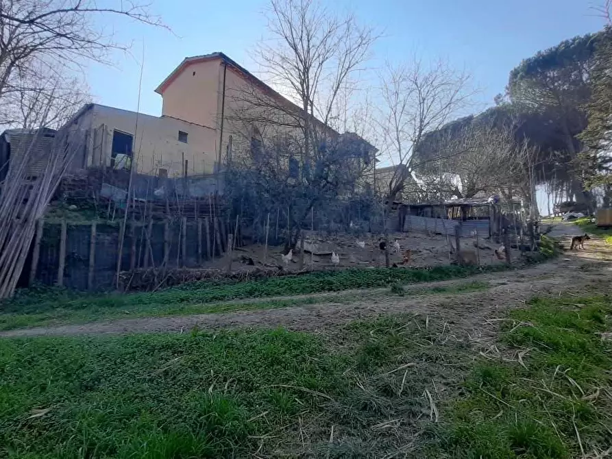 Immagine 4 di Casa indipendente in vendita  a San Miniato