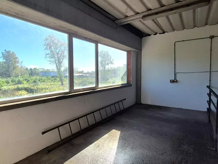 Immagine 10 di Attività artigianale in affitto  a Lucca