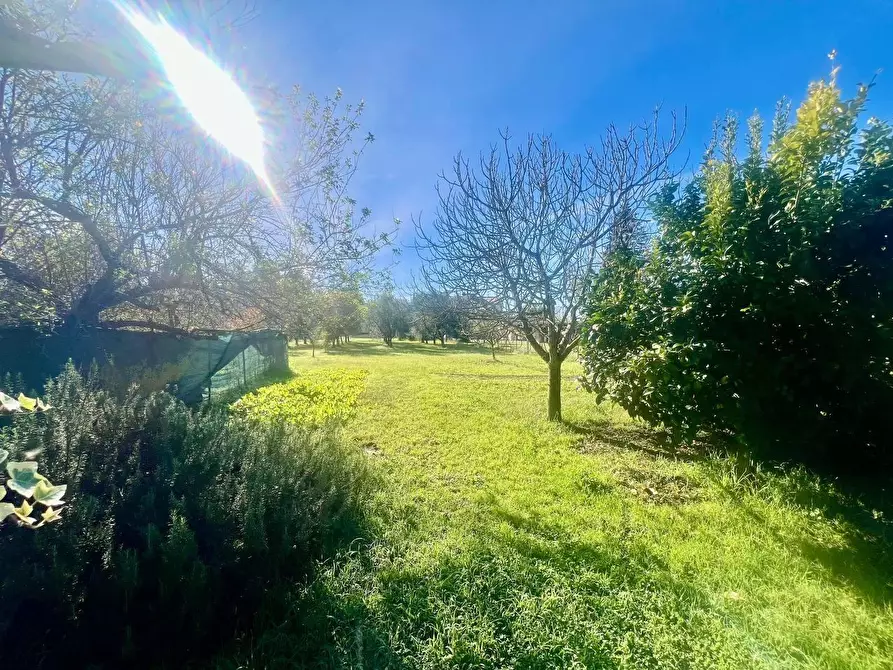 Immagine 34 di Villa in vendita  a San Giuliano Terme