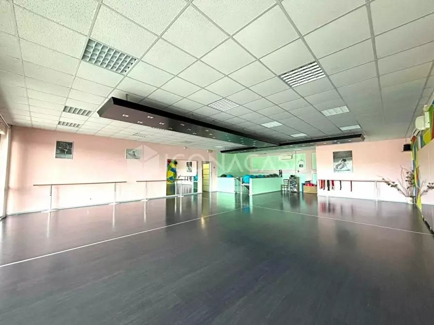 Immagine 5 di Locale commerciale in vendita  a Peccioli