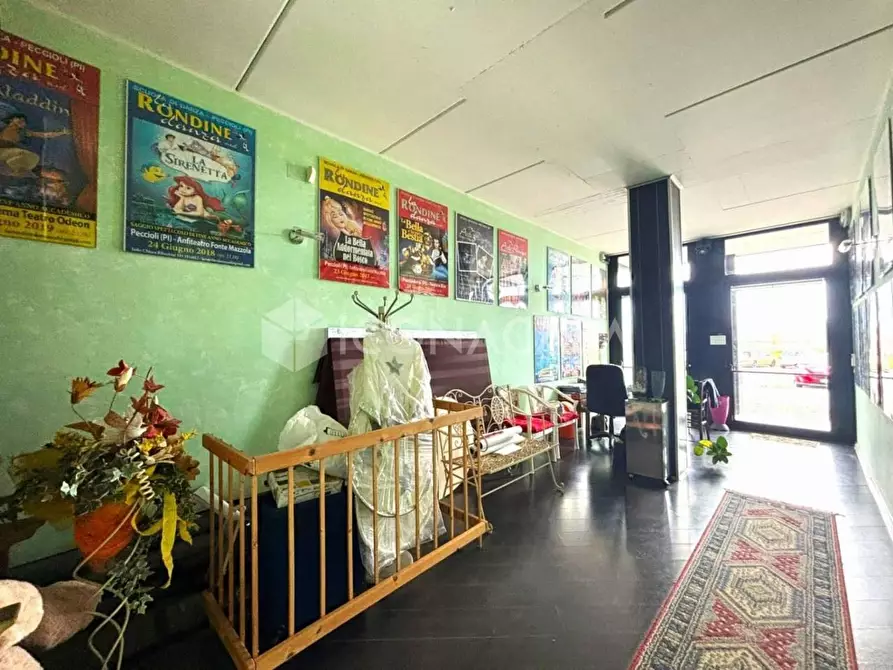 Immagine 8 di Locale commerciale in vendita  a Peccioli