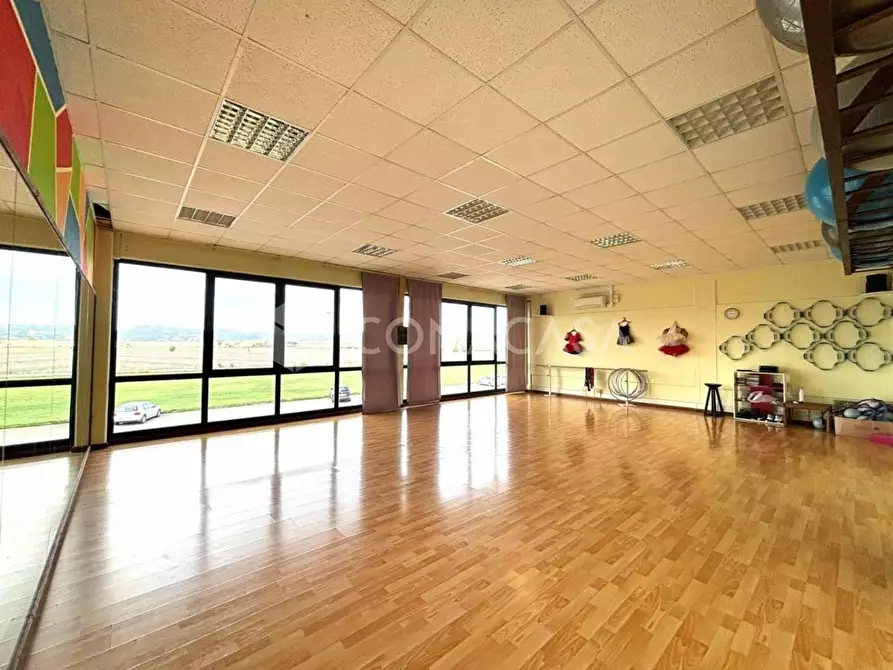 Immagine 2 di Locale commerciale in vendita  a Peccioli