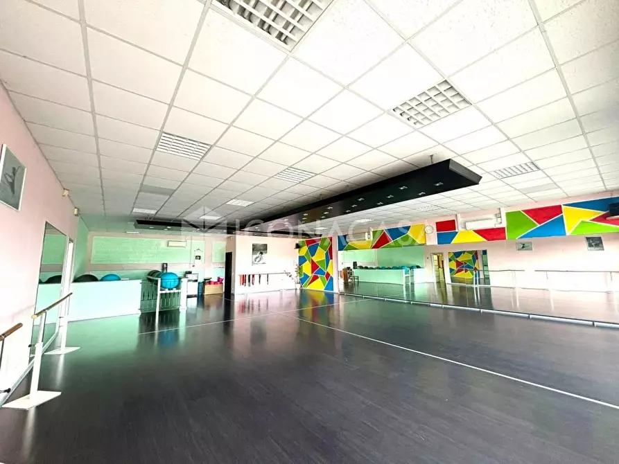 Immagine 4 di Locale commerciale in vendita  a Peccioli