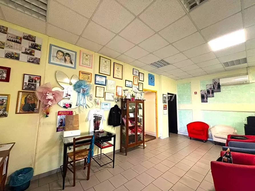 Immagine 7 di Locale commerciale in vendita  a Peccioli