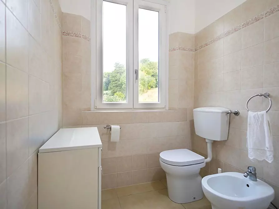 Immagine 21 di Casa indipendente in vendita  a Santa Maria A Monte