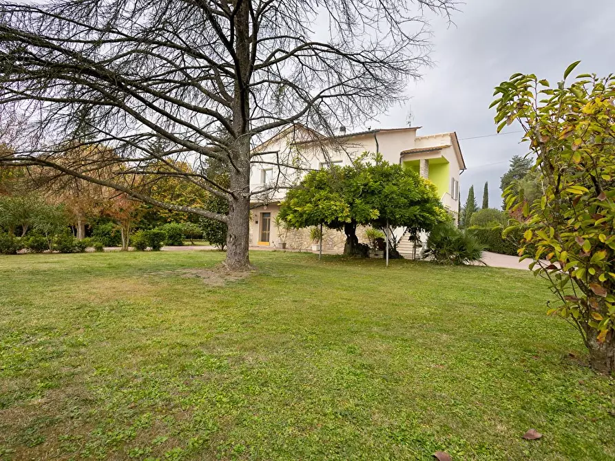 Immagine 3 di Casa indipendente in vendita  a Santa Maria A Monte