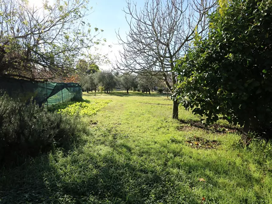 Immagine 14 di Villa in vendita  a San Giuliano Terme