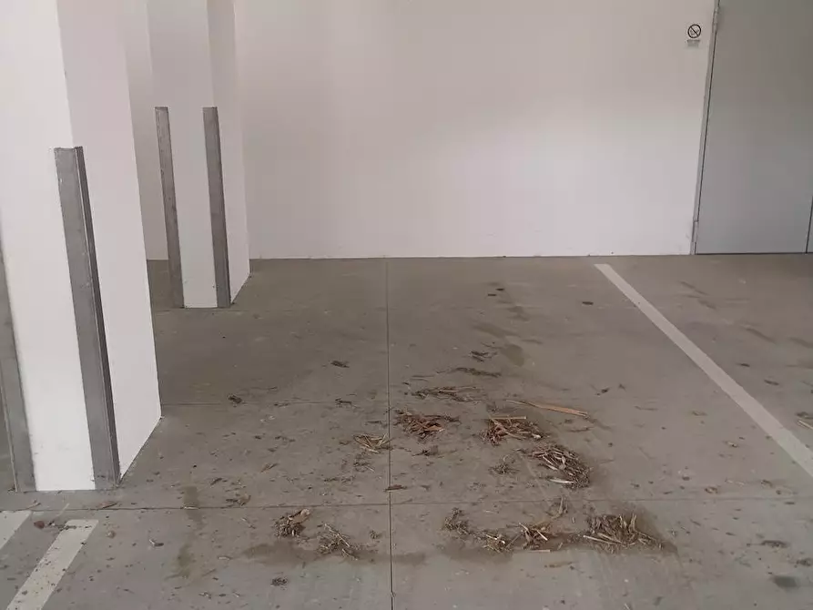 Immagine 15 di Appartamento in affitto  a Santa Maria A Monte