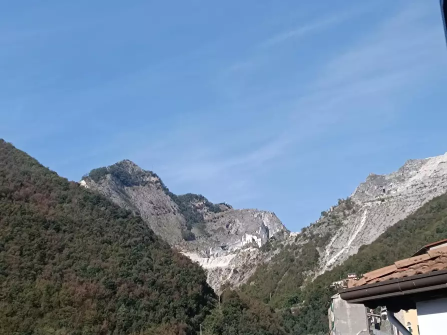 Immagine 3 di Appartamento in vendita  a Massa