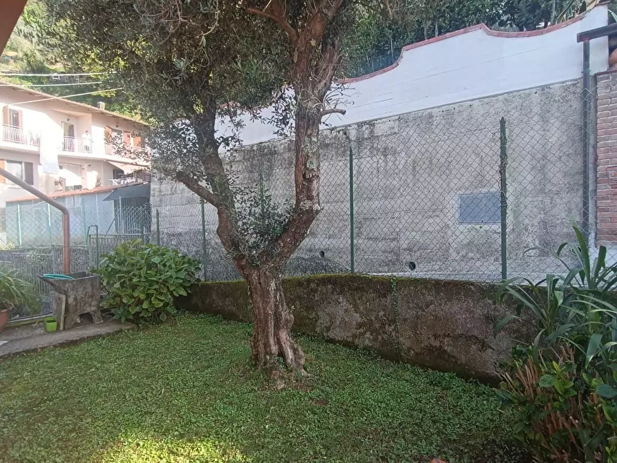 Immagine 5 di Appartamento in vendita  a Massa