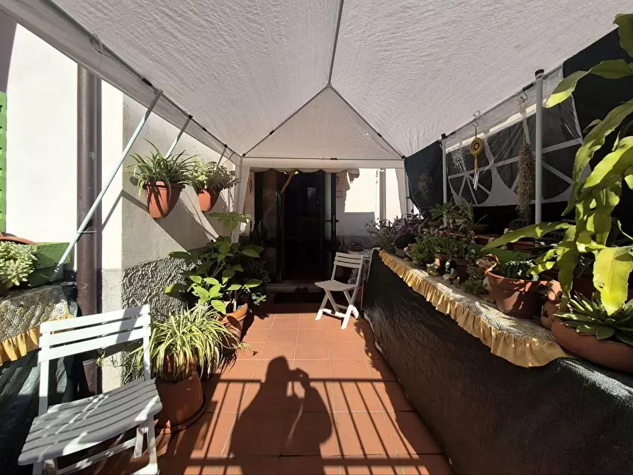 Immagine 18 di Terratetto in vendita  a Capannori