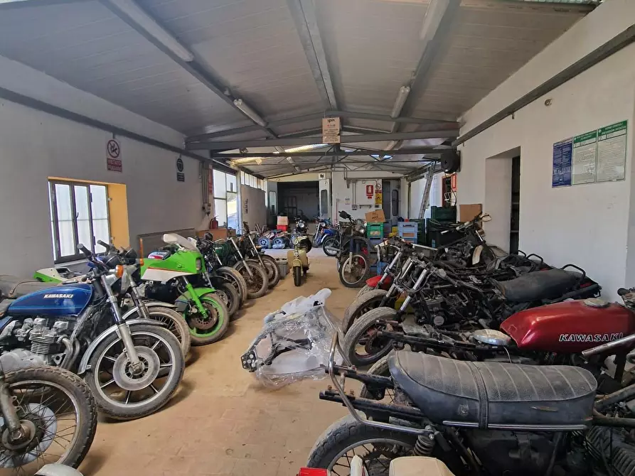 Immagine 13 di Attività artigianale in vendita  a Crespina Lorenzana