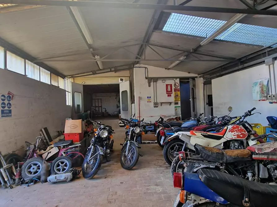 Immagine 25 di Attività artigianale in vendita  a Crespina Lorenzana