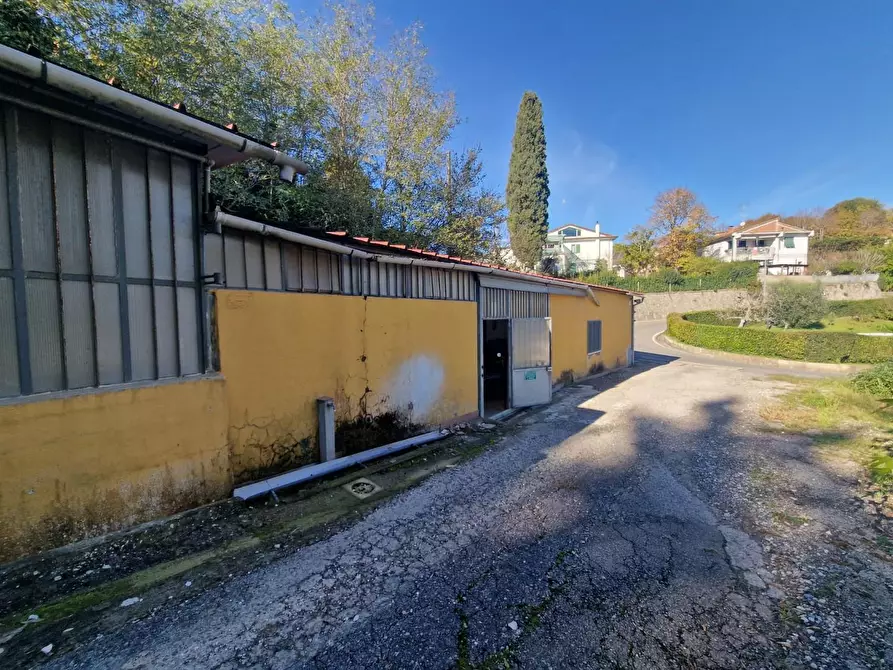 Immagine 4 di Attività artigianale in vendita  a Crespina Lorenzana