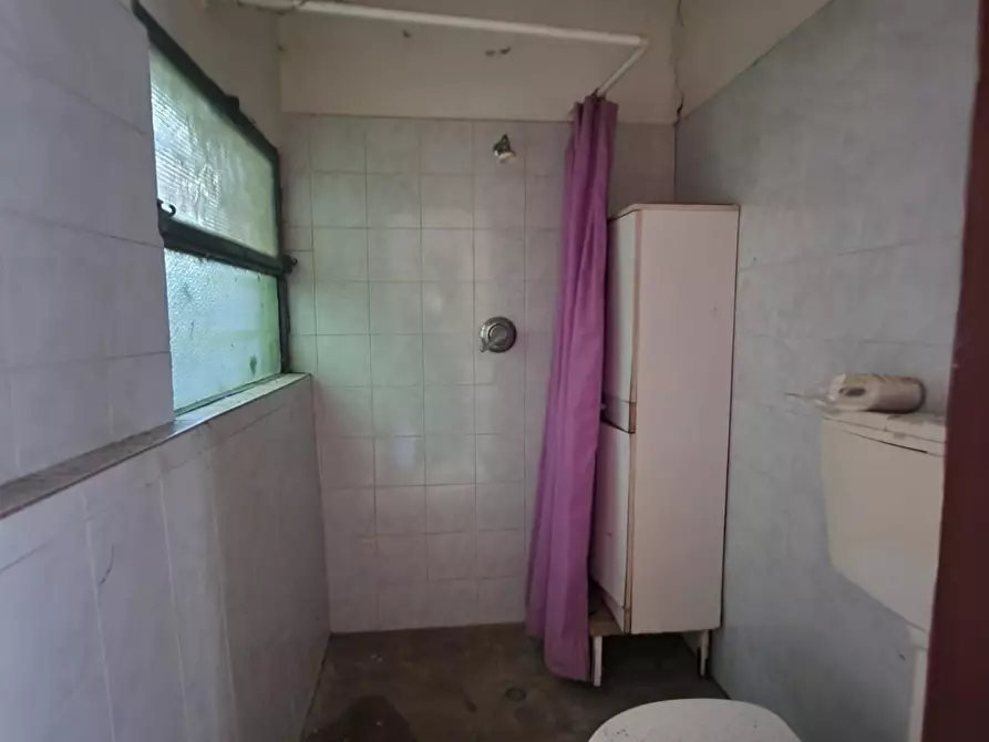 Immagine 18 di Attività artigianale in vendita  a Crespina Lorenzana