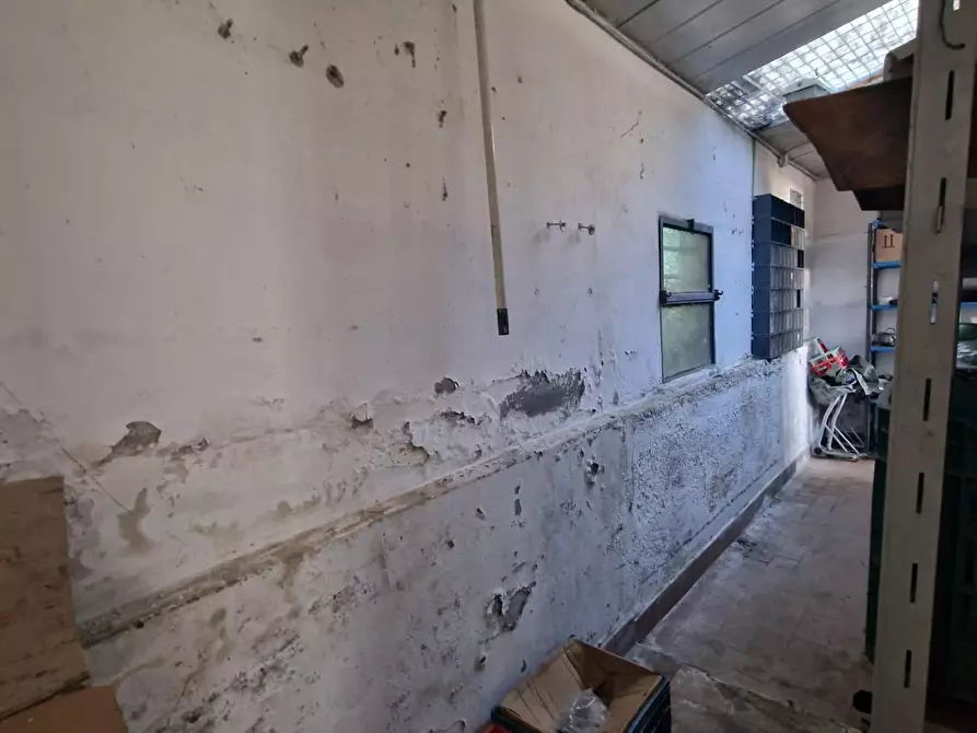 Immagine 16 di Attività artigianale in vendita  a Crespina Lorenzana