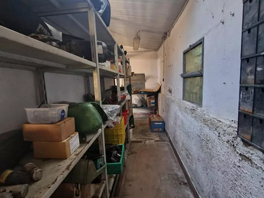 Immagine 22 di Attività artigianale in vendita  a Crespina Lorenzana