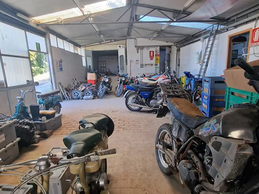 Immagine 8 di Attività artigianale in vendita  a Crespina Lorenzana