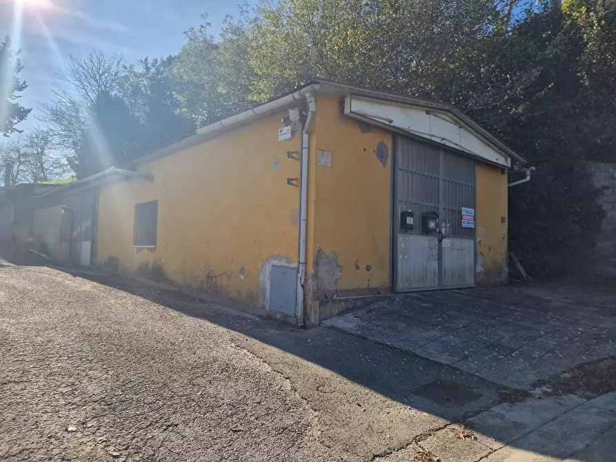 Immagine 2 di Attività artigianale in vendita  a Crespina Lorenzana