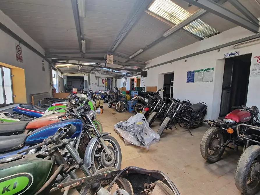 Immagine 6 di Attività artigianale in vendita  a Crespina Lorenzana